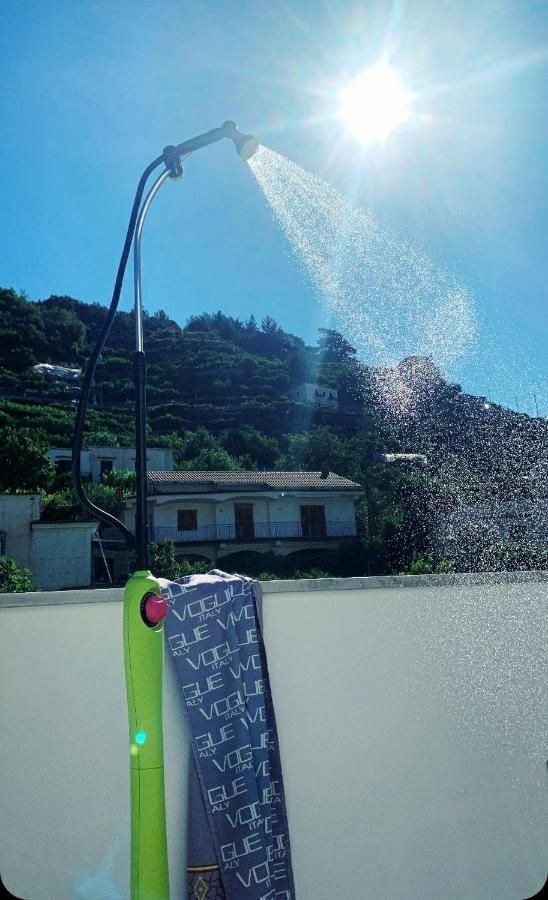 L'albero della vita Minori Esterno foto