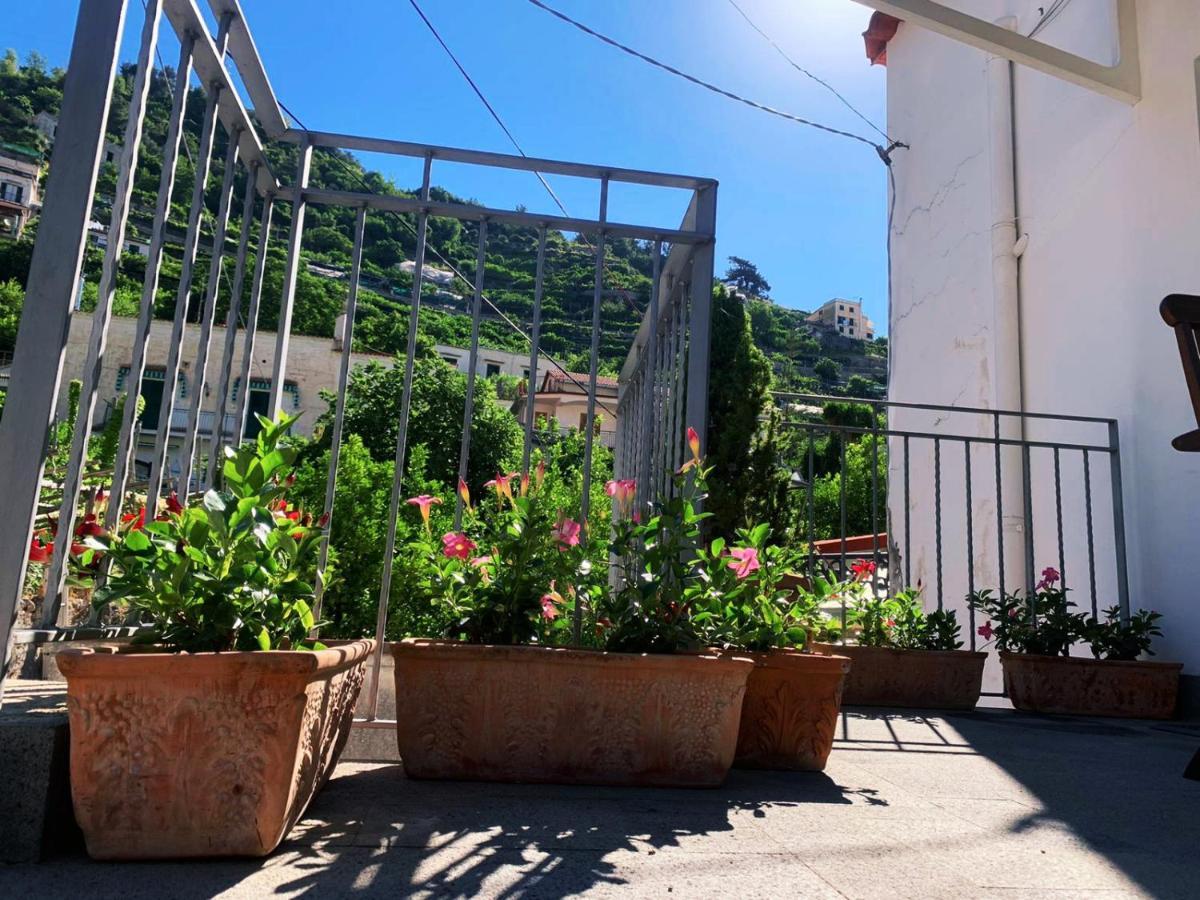 L'albero della vita Minori Esterno foto